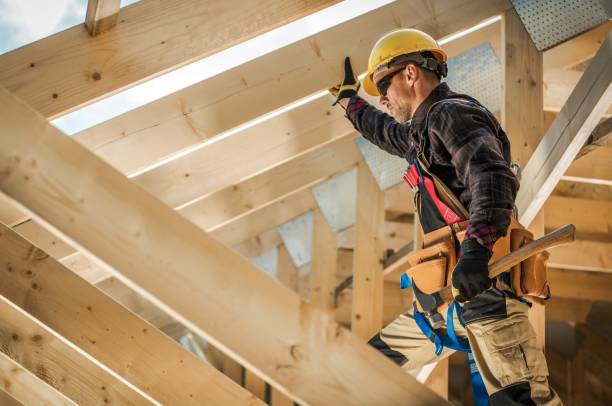 Best Roof Gutter Cleaning  in Vla Grove, IL