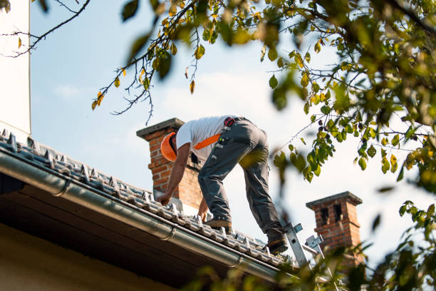 Best Flat Roof Repair Services  in Vla Grove, IL
