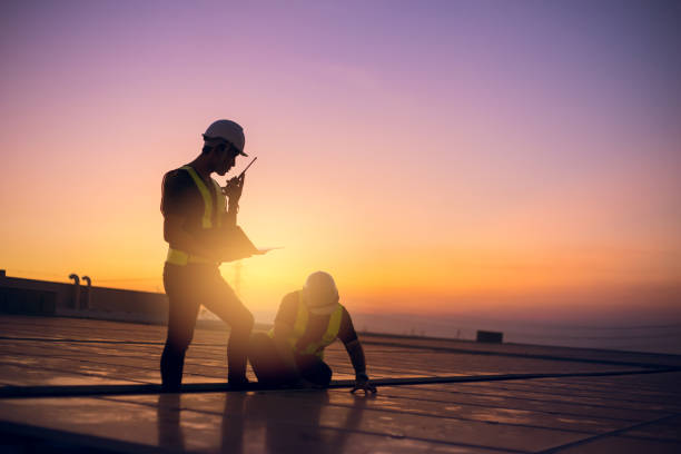 Best Commercial Roof Installation  in Vla Grove, IL