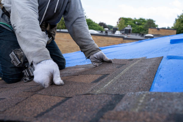 Quick and Trustworthy Emergency Roof Repair Services in Villa Grove, IL