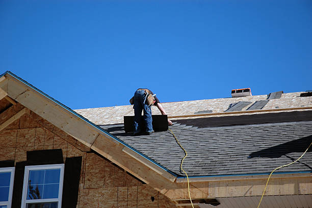 Best Roof Replacement Cost  in Vla Grove, IL