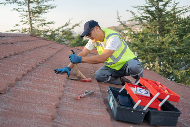 Best Slate Roofing Contractor  in Vla Grove, IL