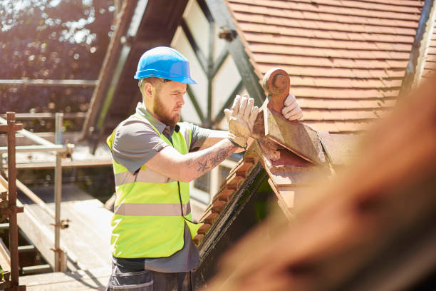 Best Roof Leak Repair  in Vla Grove, IL