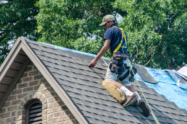 Best New Roof Installation  in Vla Grove, IL